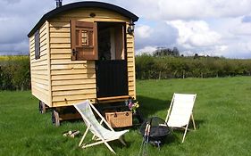 Marshwood Farm B&B And Shepherds Hut