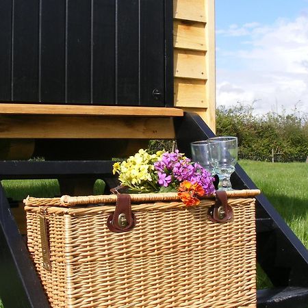 Marshwood Farm B&B And Shepherds Hut Dinton  Buitenkant foto