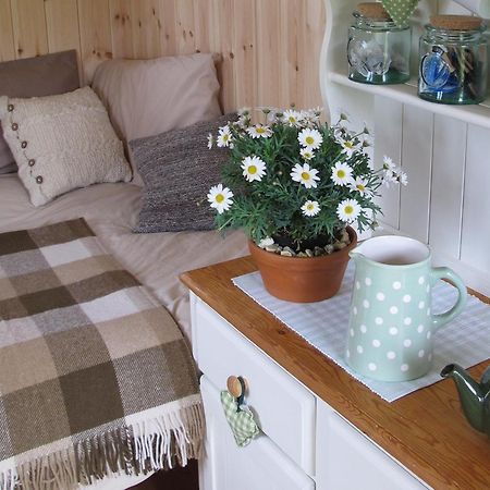 Marshwood Farm B&B And Shepherds Hut Dinton  Buitenkant foto