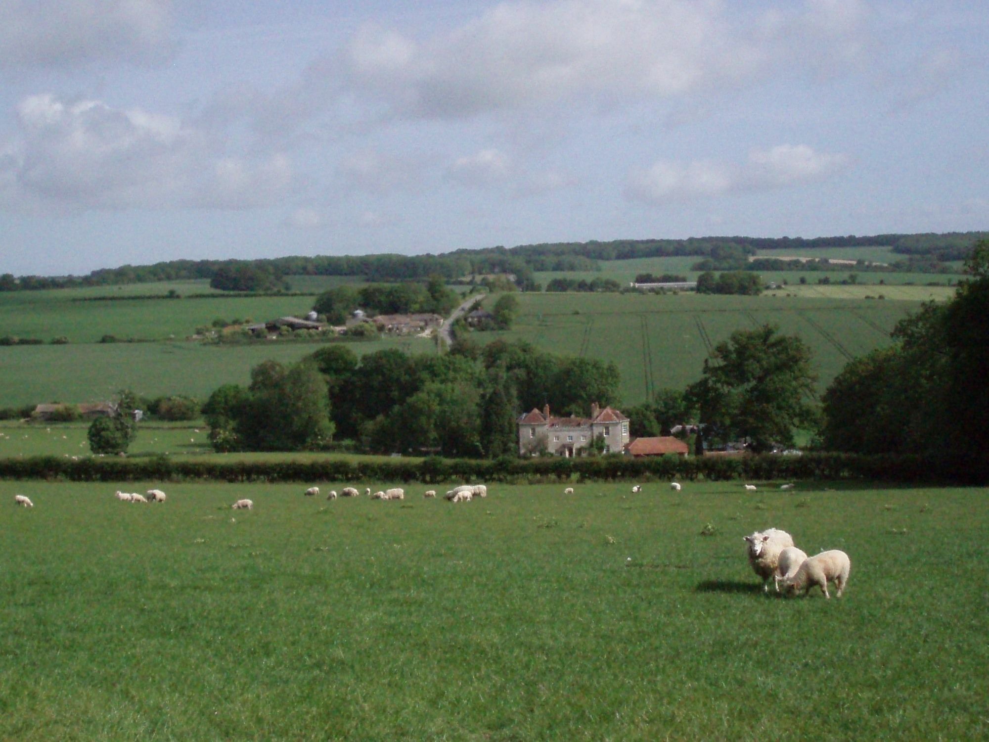 Marshwood Farm B&B And Shepherds Hut Dinton  Buitenkant foto